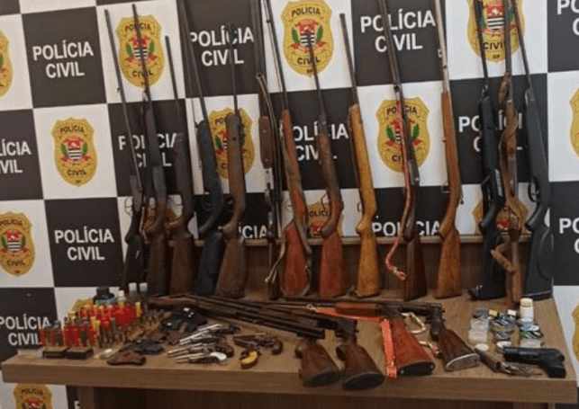 Operação da Polícia Civil aprende 22 armas de fogo e 286 munições