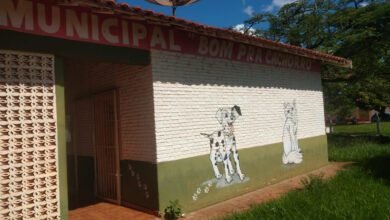 Inscrições para castrações agora podem ser feitas no Centro de Castrações