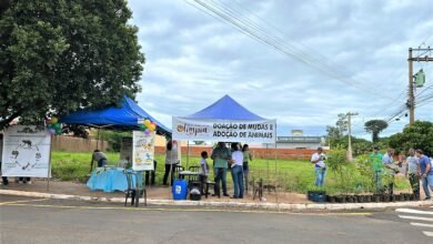 Projeto "Tenda Itinerante" chega com serviços de meio ambiente e causa animal gratuitos para a população