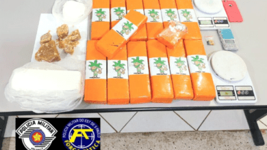 Mulher responsável por armazenar drogas é presa em Barretos