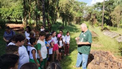 Alunos realizam atividade extracurricular no Núcleo de Educação Ambiental