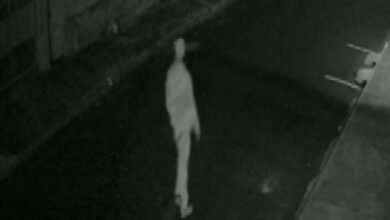 Animal é encontrado morto por asfixia e causa revolta na comunidade