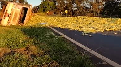 Caminhão tomba e espalha carga na Assis Chateaubriand