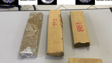 Polícia Militar detém casal e apreende 3kg de maconha