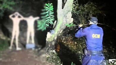 GCM prende homens que faziam sexo em parque