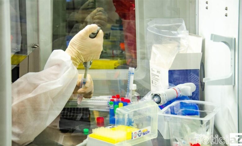 A Sociedade Brasileira de Virologia (SBV) confirmou a identificação de uma nova variante brasileira de covid-19, a P4. Os registros indicam