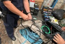 Idosa picada por cobra em Itanhaém morre