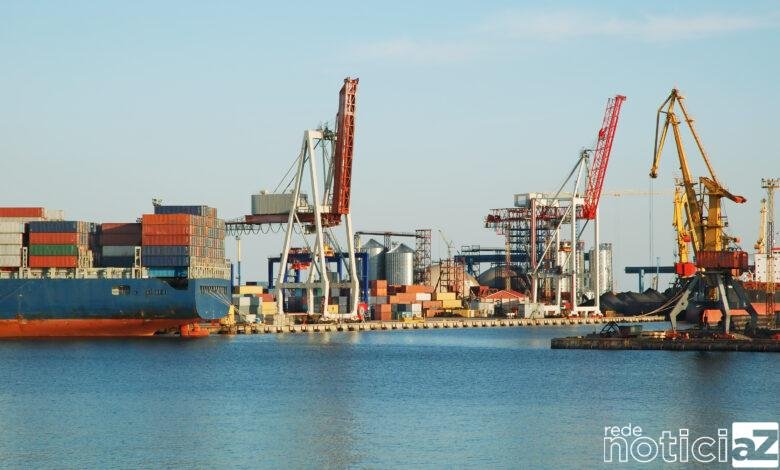 Porto de Santos tem novos terminais de celulose