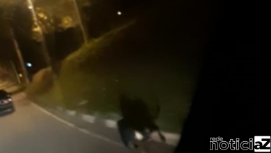 Motorista abandona cão em Jarinu