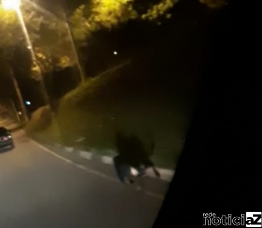 Motorista abandona cão em Jarinu