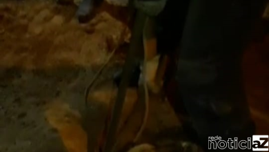 Cão entalado em tubulação é resgatado