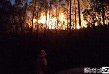 Queimadas em vegetações em Jundiaí serão investigadas