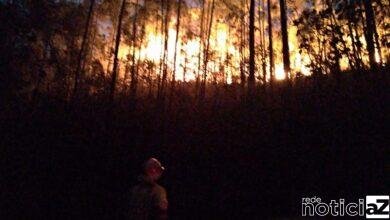 Queimadas em vegetações em Jundiaí serão investigadas