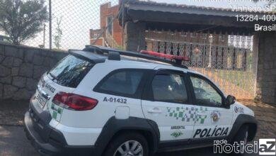 PM Ambiental notifica dono de área pelo corte de árvores