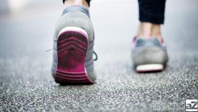 orientação romeiros