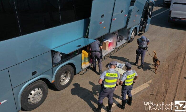 No maleiro do ônibus tinha 65 kg de maconha