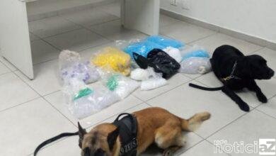 Cães encontram 300 porções de drogas