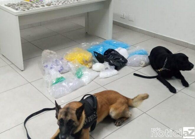 Cães encontram 300 porções de drogas