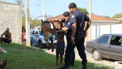 Show canino durante o patrulhamento preventivo