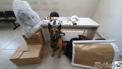 Patrulhamento com cães apreende 3 kg de drogas