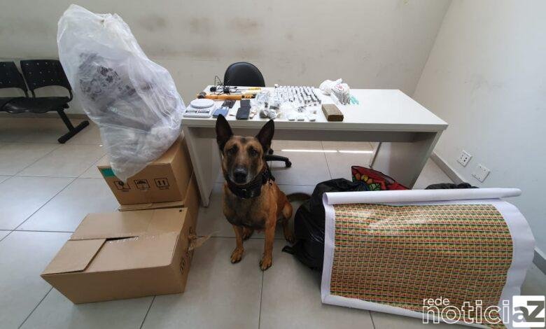 Patrulhamento com cães apreende 3 kg de drogas