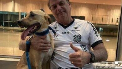 Vacina obrigatória só para o Faisca