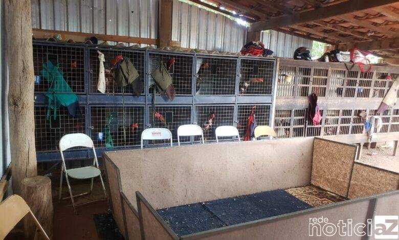 Foram encontrados cerca de 90 animais; os responsáveis foram autuados com multas que totalizaram R$ 2 milhões