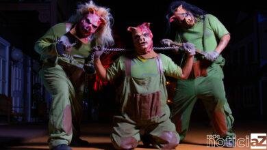 Hopi Hari promove Horror Drive Tour até novembro