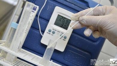 testes ubs são camilo para covid-19