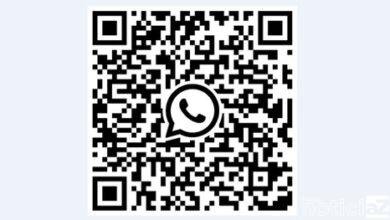 Dúvidas sobre as Eleições podem ser tiradas no WhatsApp