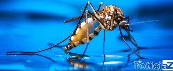 Operação contra Arboviroses começa