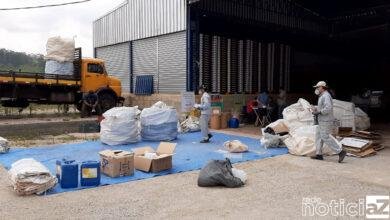 Programa coleta quase 7 mil embalagens de agrotóxicos
