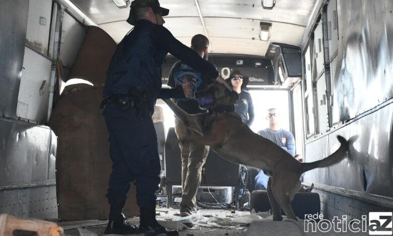 Canil da GMJ conclui curso de Detecção para Operadores de cães