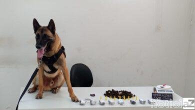 Patrulhamento com Cães apreende drogas