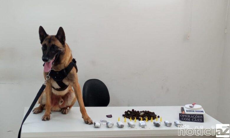 Patrulhamento com Cães apreende drogas