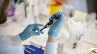 Reino Unido pode ser o primeiro país a vacinar contra o coronavírus