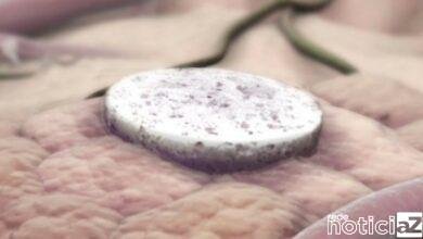 Vacina contra câncer é desenvolvida