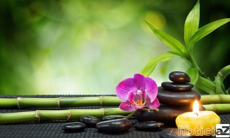 Conheça os benefícios da terapia holística