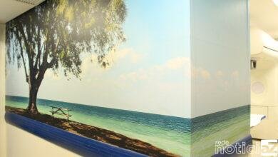 Arte no Hospital São Vicente