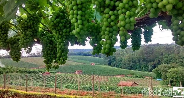 Cidades organizam volta do Circuito das Frutas