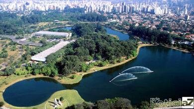 Parque do Ibirapuera volta a abrir