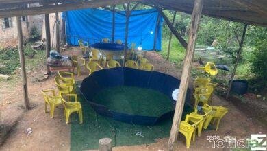 PM resgata 98 galos e desmonta rinha