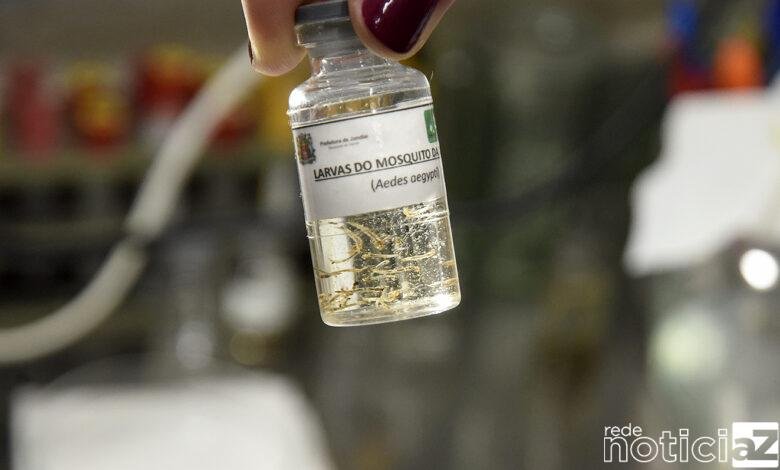 Saúde investe na formação da rede para combater as arboviroses