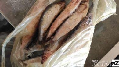 Operação "Piracema" é feita em mais uma cidade