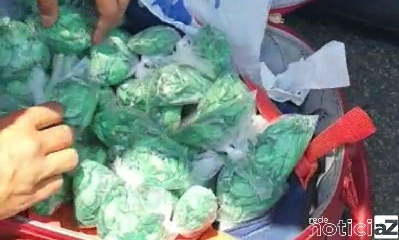 Mala com cocaína é apreendida em rodovia