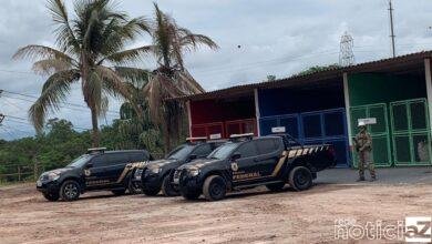 Drogas apreendidas no Porto são incineradas