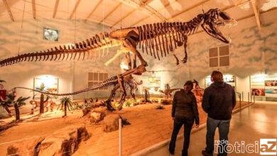 Zoo Itatiba inaugura maior museu de história natural