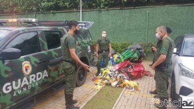 Guardas Municipais resgatam balão de 15 metros