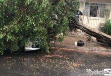 Mais um dia de chuva e vento forte fez a cidade sofrer estragos. O pior deles foi registrados na rua das acalifas no Jardim Bertioga, em Várzea Paulista