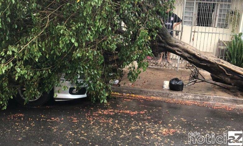 Mais um dia de chuva e vento forte fez a cidade sofrer estragos. O pior deles foi registrados na rua das acalifas no Jardim Bertioga, em Várzea Paulista